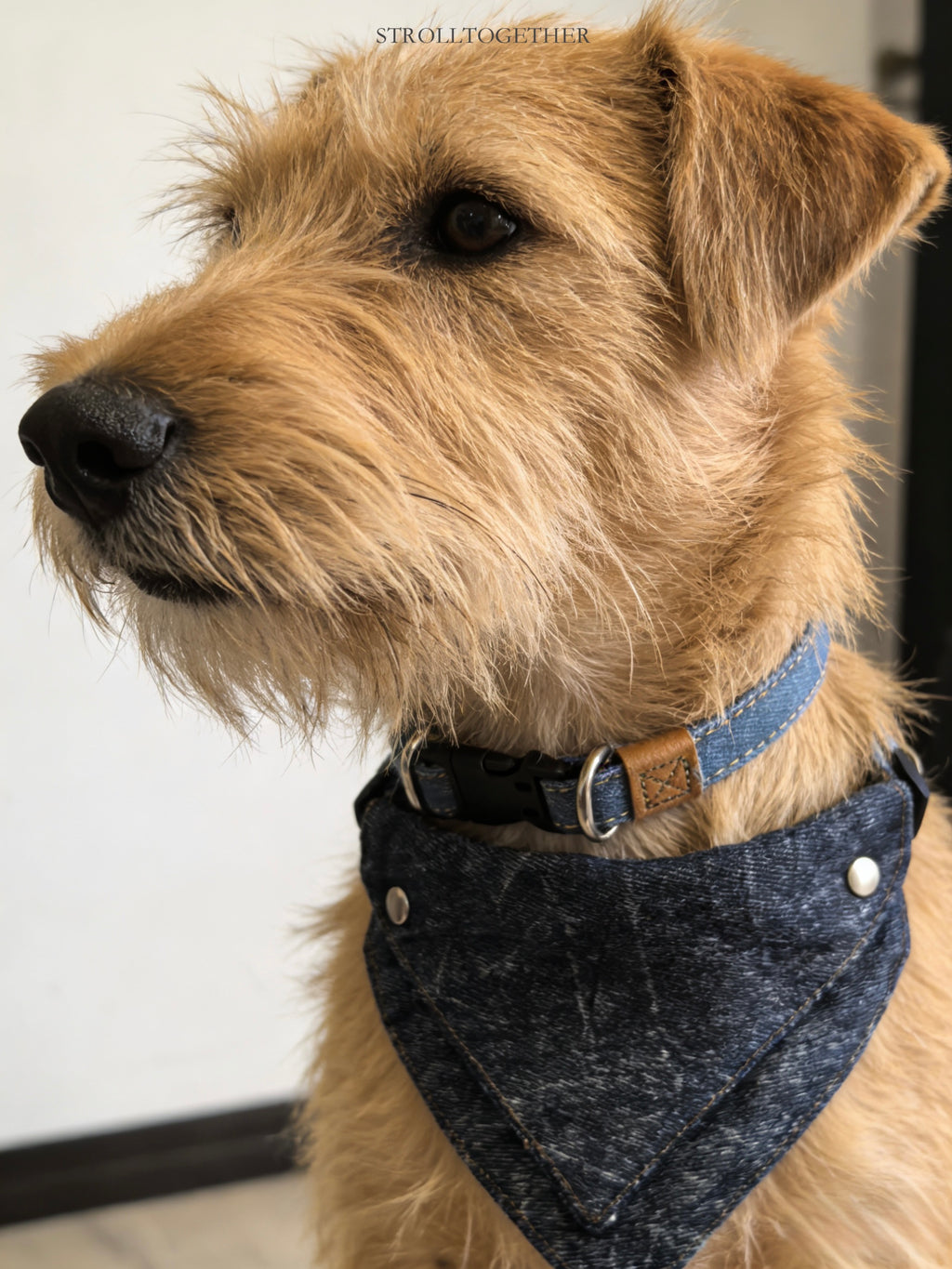 Vintage Denim｜Detachable Bandana Dog Collar