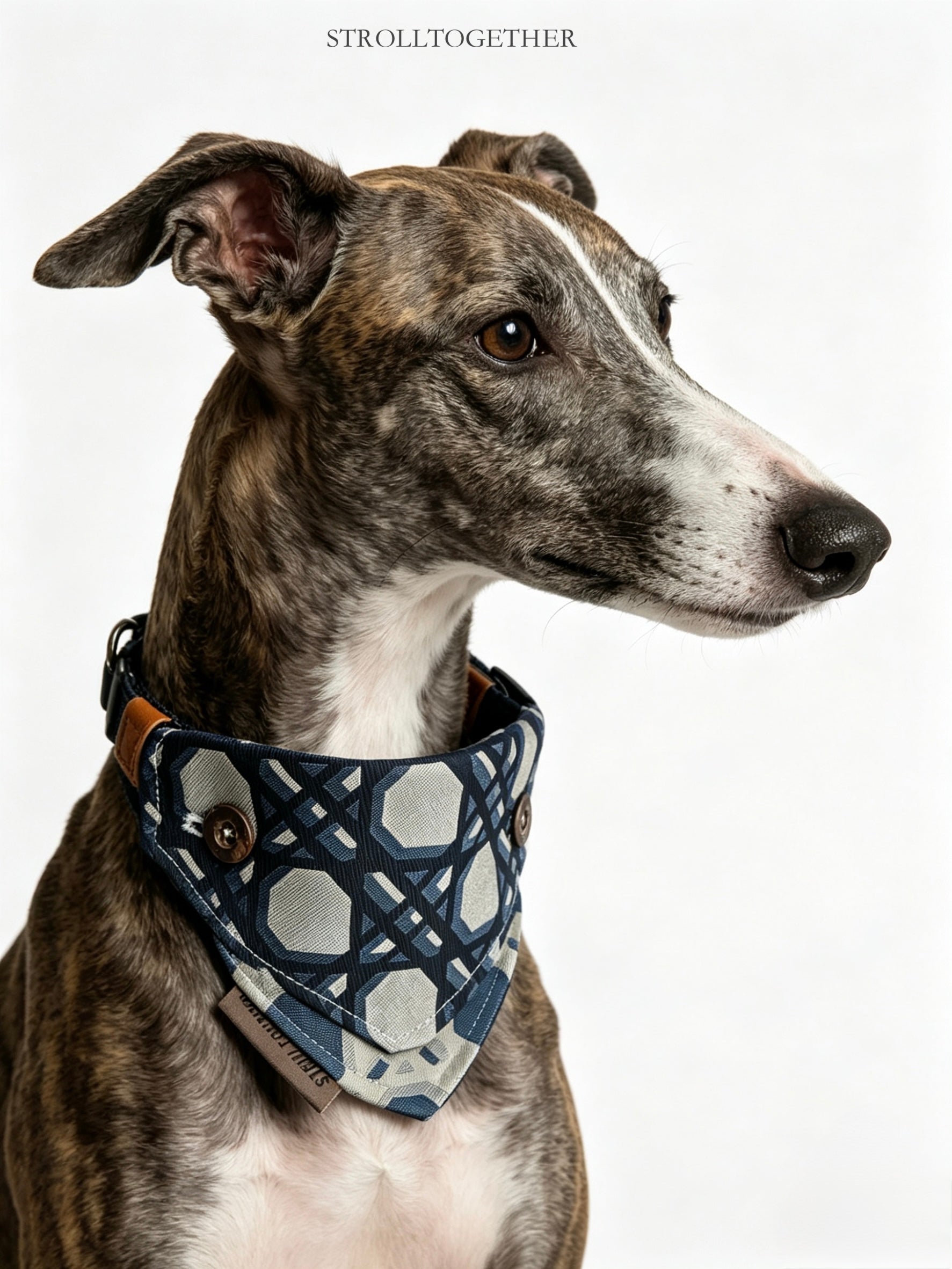 Dickies| Detachable Bandana Collar – One Scarf, Four Ways to Style