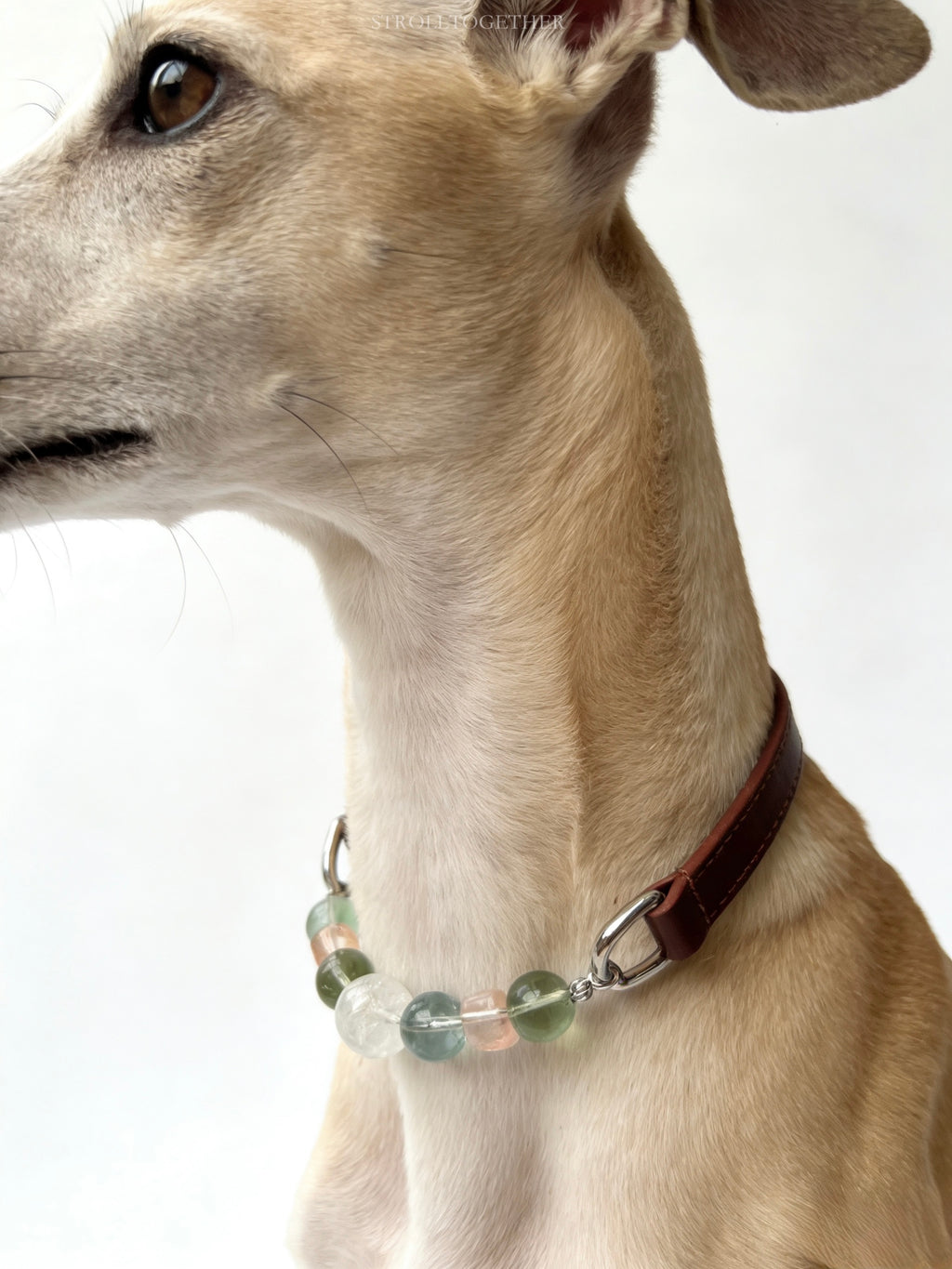 Spring Whisper｜Matching Crystal Set for You & Your Pet Clear Quartz+Green Fluorite+White Phantom Quartz「26-31.5cm」