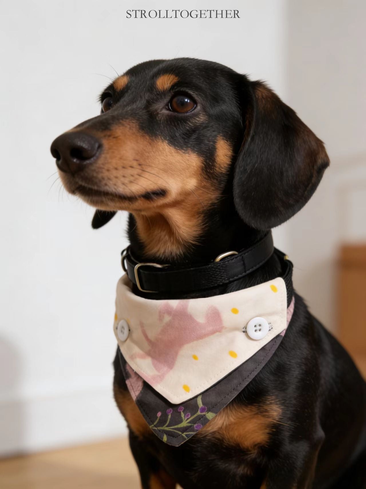 「Little Pink Pony」 Reversible Bandana Dog Collar