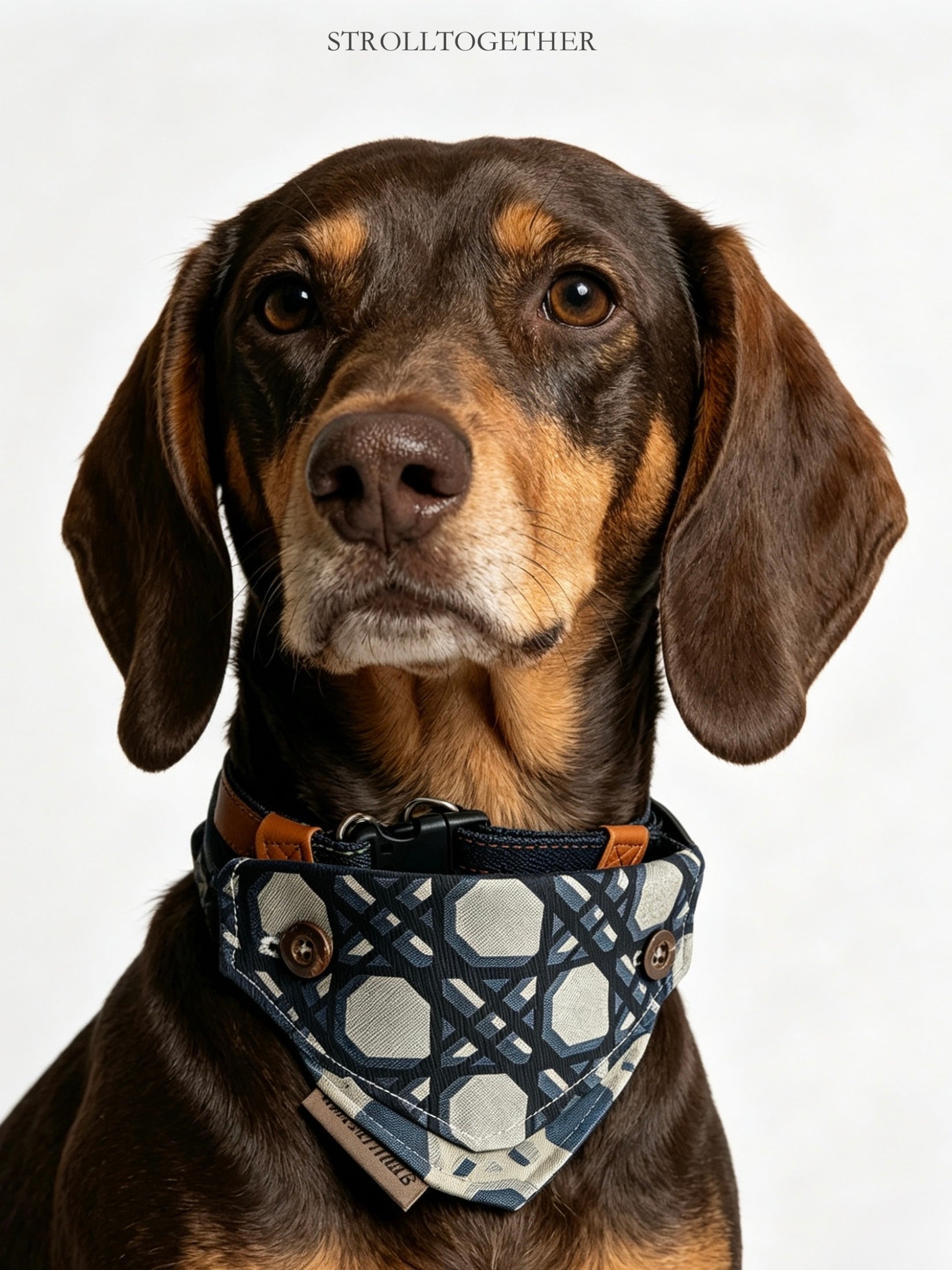 Dickies| Detachable Bandana Collar – One Scarf, Four Ways to Style