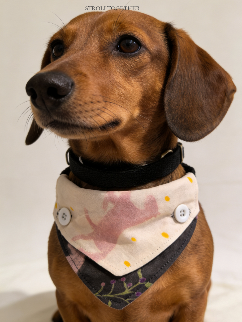 「Little Pink Pony」 Reversible Bandana Dog Collar