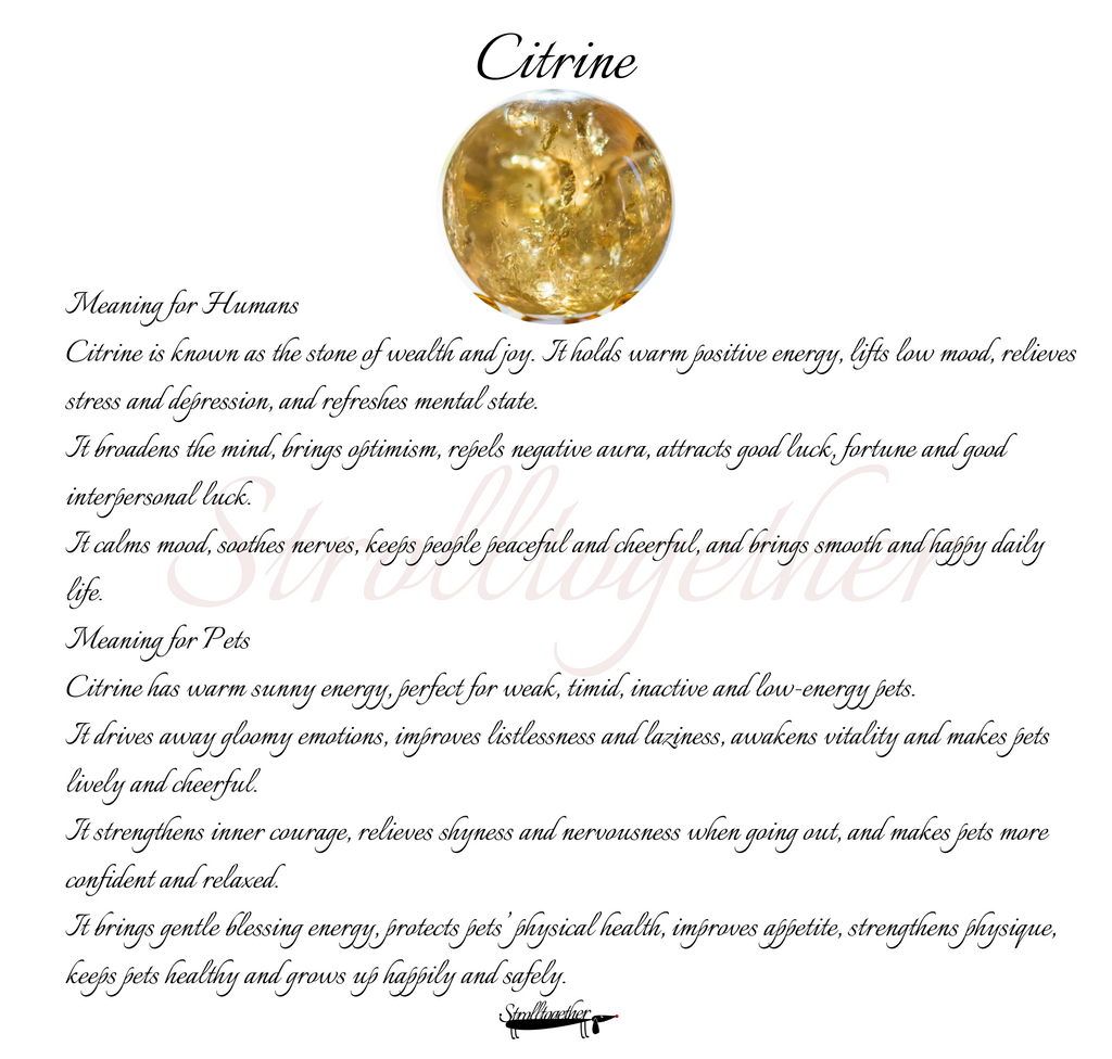 Golden Aura | Citrine, Yellow Tower Crystal, Smoky Quartz & Clear Quartz「32-37.5cm」