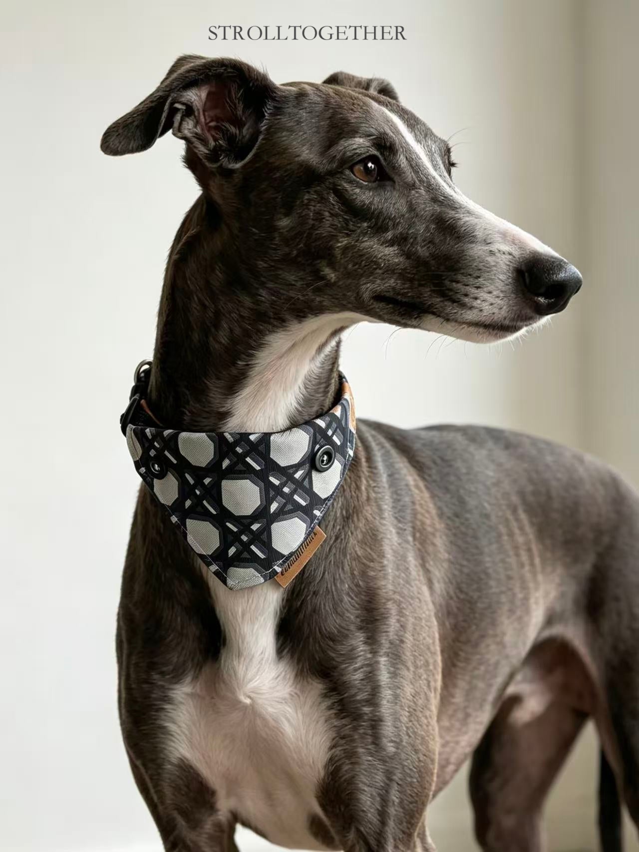Dickies| Detachable Bandana Collar – One Scarf, Four Ways to Style