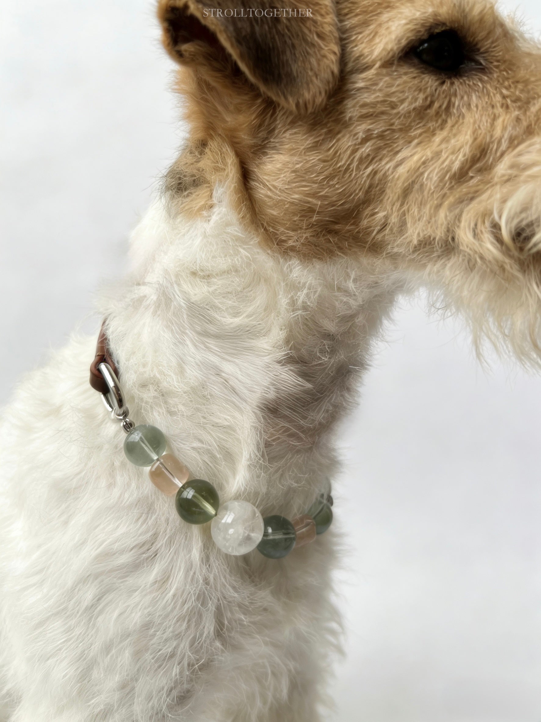 Spring Whisper｜Matching Crystal Set for You & Your Pet Clear Quartz+Green Fluorite+White Phantom Quartz「26-31.5cm」