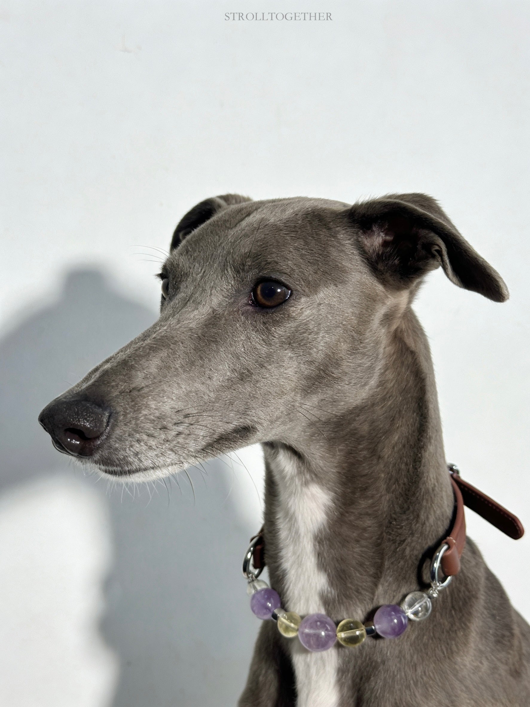 Tranquil Glow" Crystal Collar | Amethyst & Citrine Full-Grain Leather Collar「28～33.5cm」