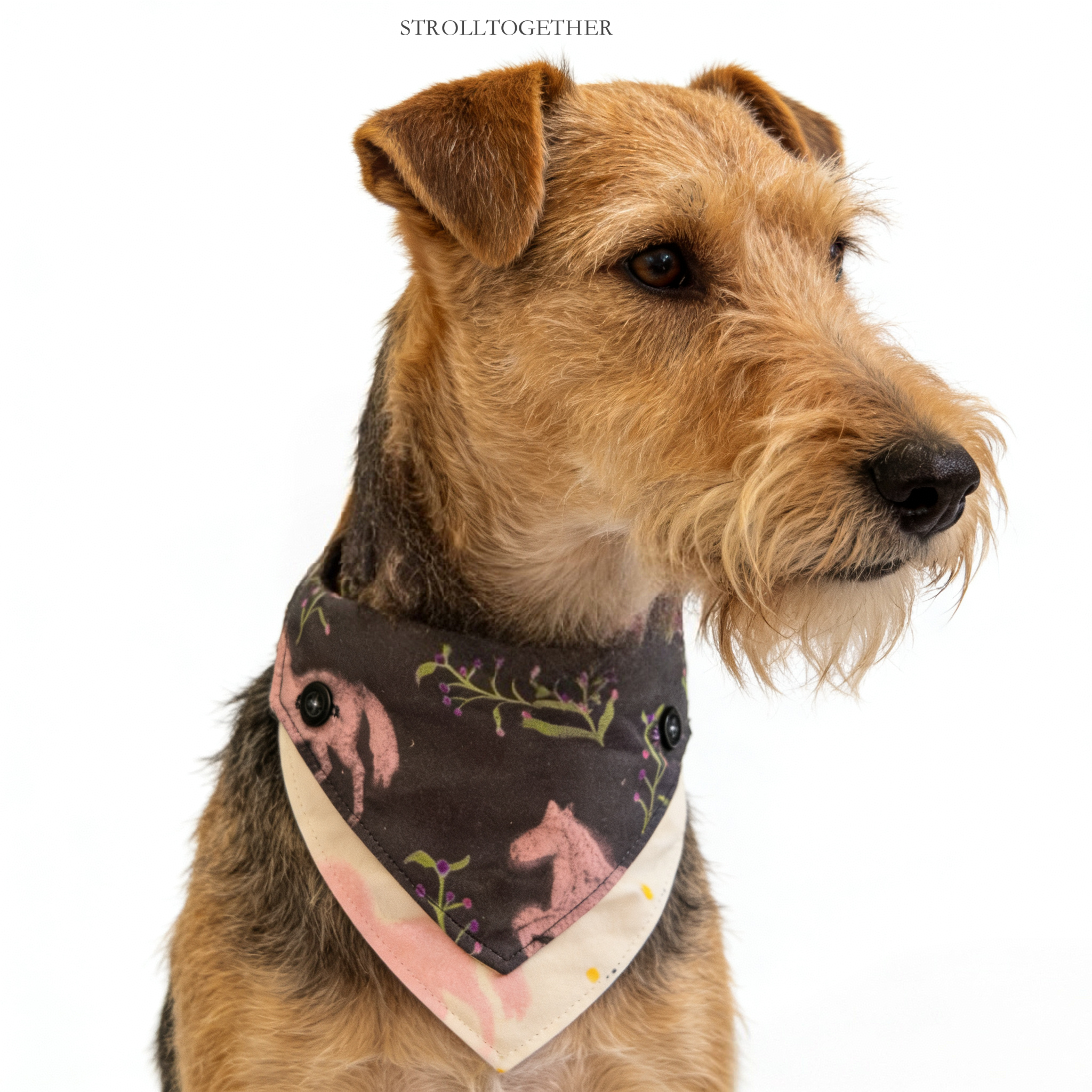 「Little Pink Pony」 Reversible Bandana Dog Collar