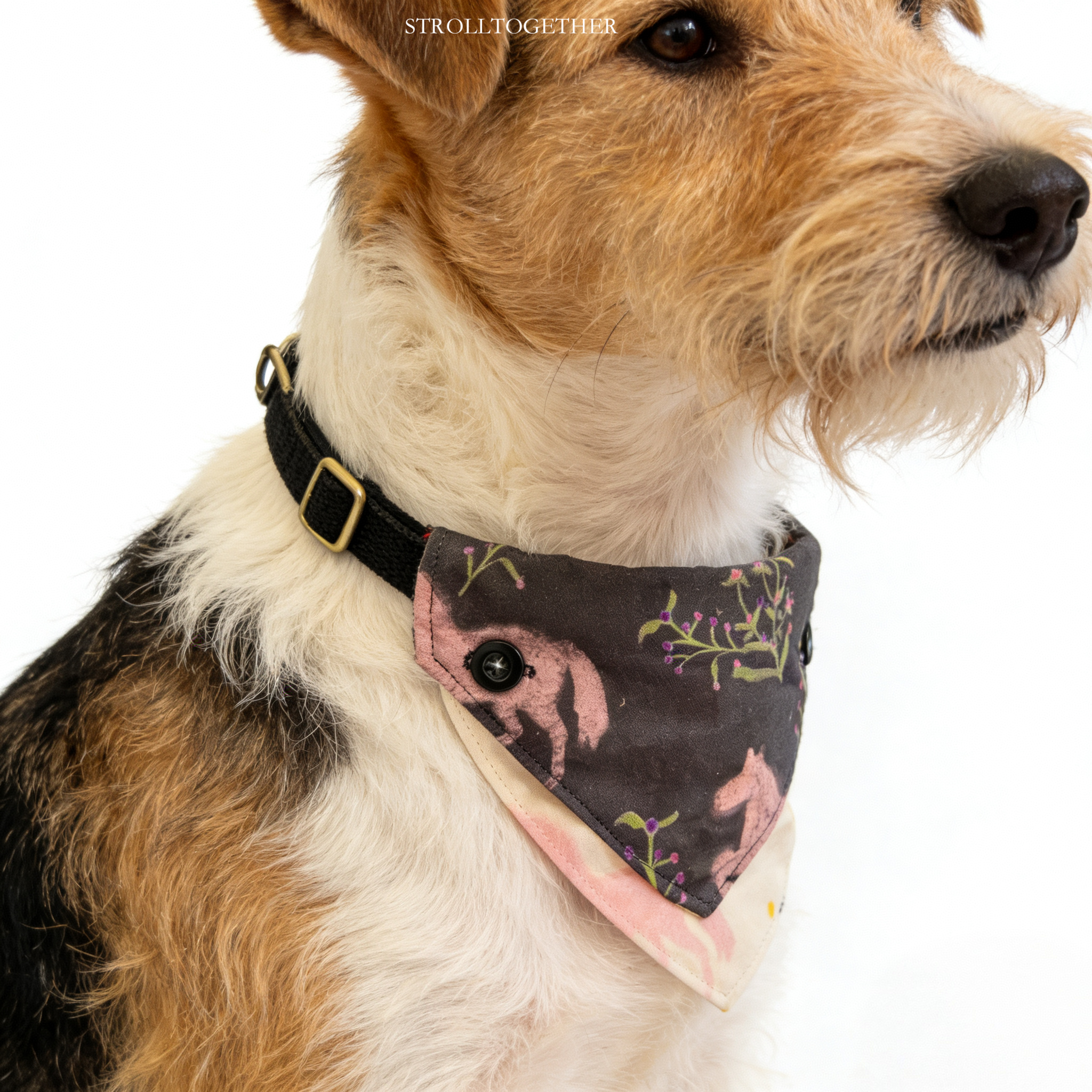 「Little Pink Pony」 Reversible Bandana Dog Collar