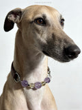 Tranquil Glow" Crystal Collar | Amethyst & Citrine Full-Grain Leather Collar「28～33.5cm」