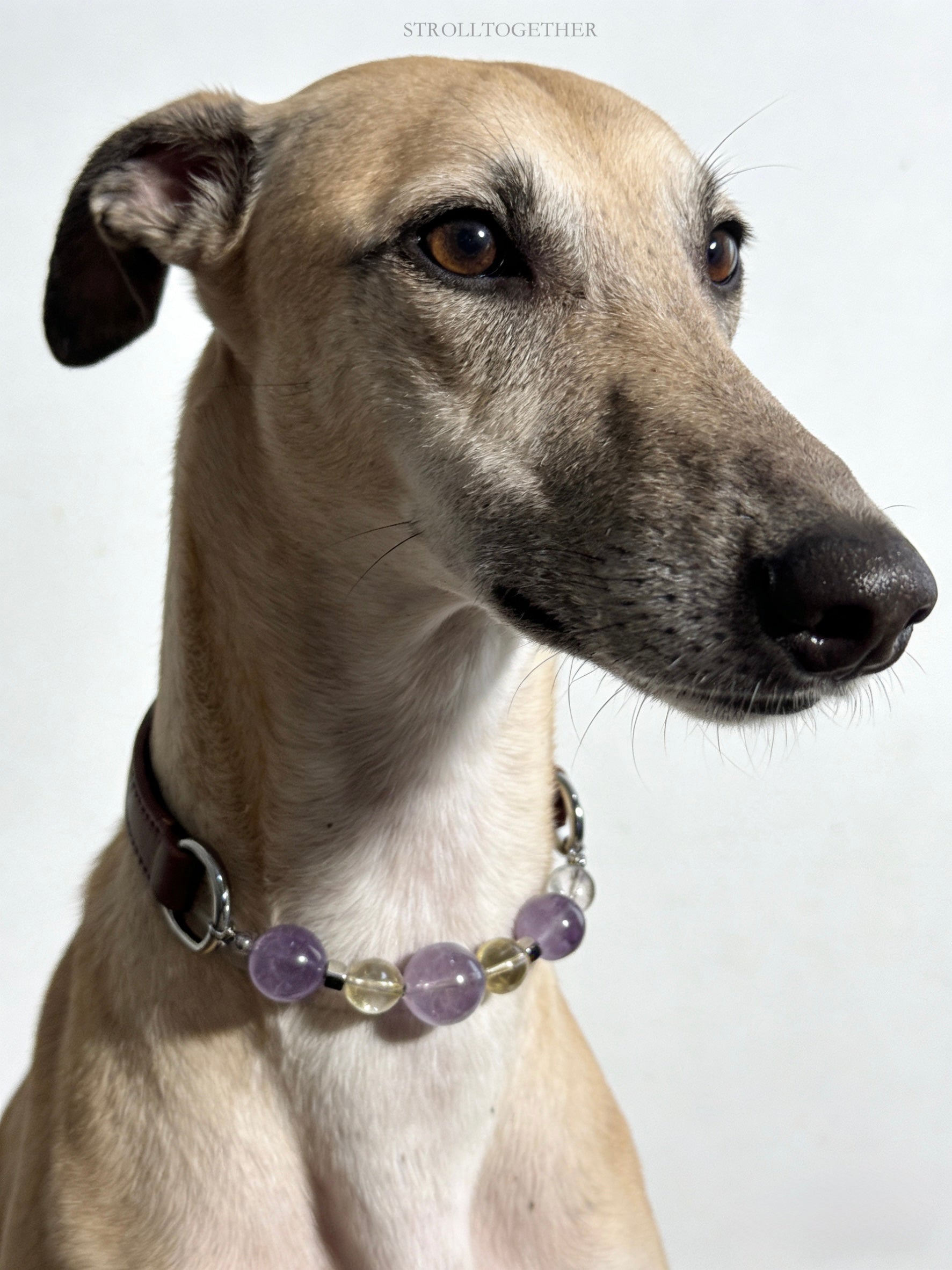 Tranquil Glow" Crystal Collar | Amethyst & Citrine Full-Grain Leather Collar「28～33.5cm」