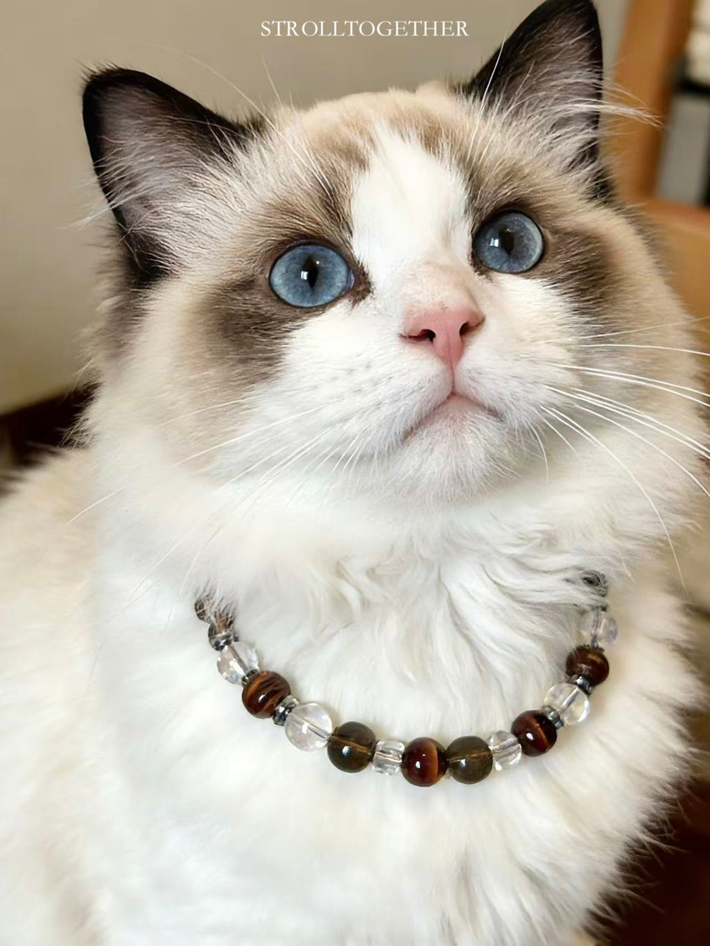 「Wild Heart」 Crystal Collar | Red Tiger's Eye & Smoky Quartz Pet 「31.5-37.5cm」