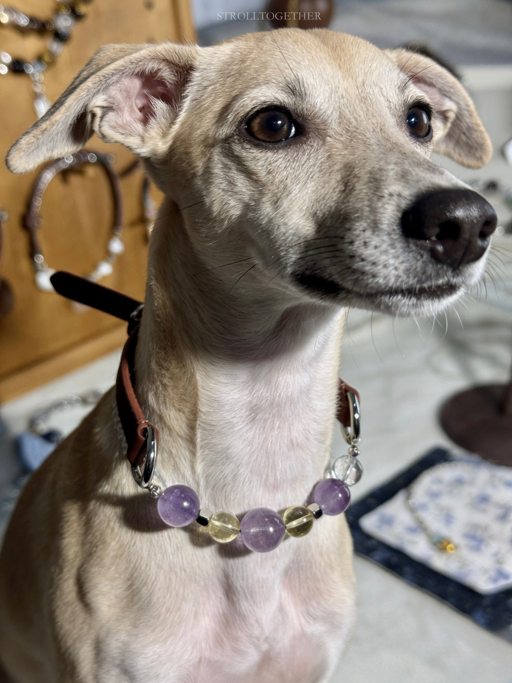 Tranquil Glow" Crystal Collar | Amethyst & Citrine Full-Grain Leather Collar「28～33.5cm」