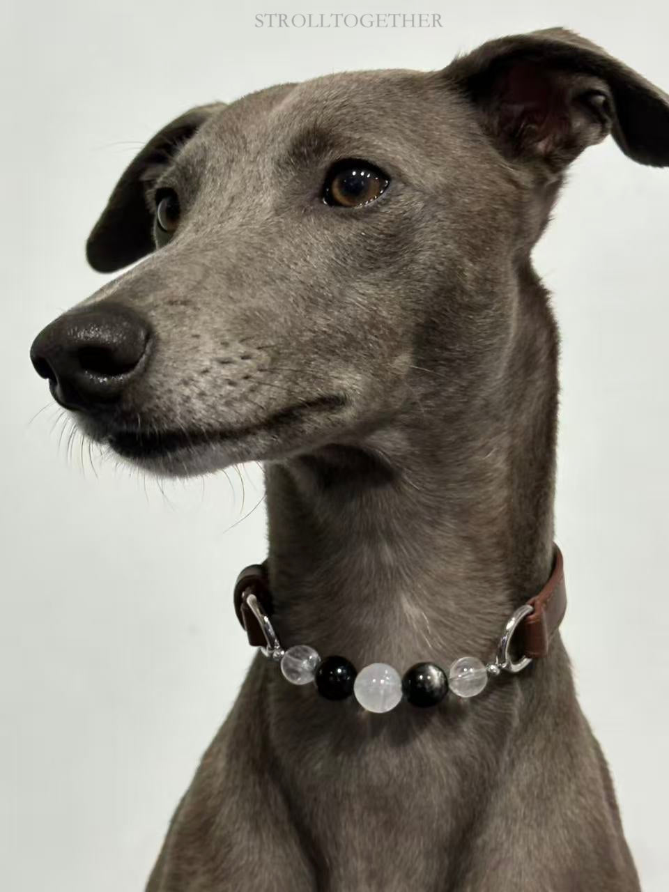 StrollTogether | "Stardust" Natural Crystal Collar – Custom Lucky Charm for Your Furry Friend 「24-29cm」