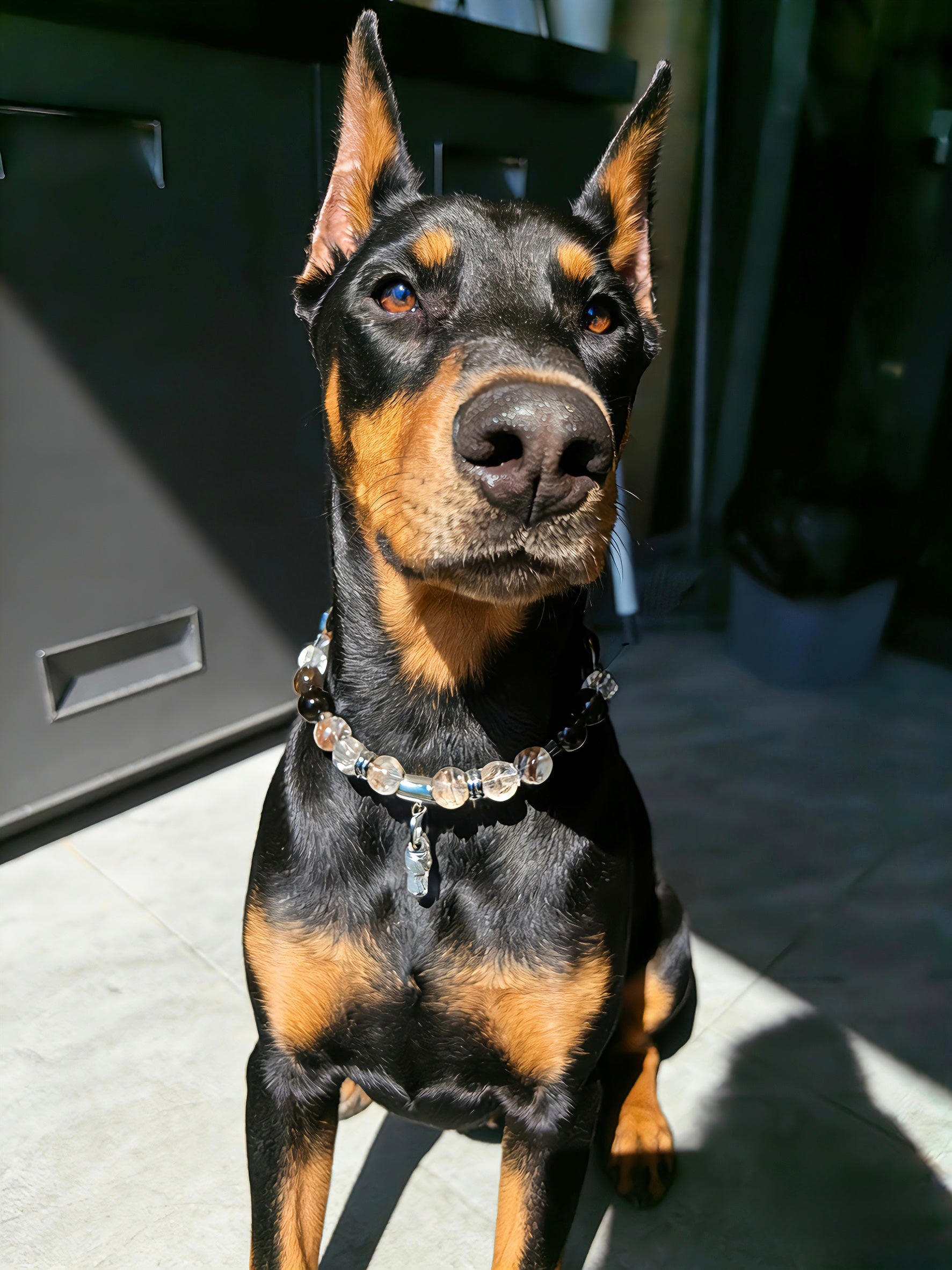 Ebony Grove Crystal Collar | Black Rutilated + Clear Quartz + Smoky Quartz Pet Collar「Neck Size：34-40cm」