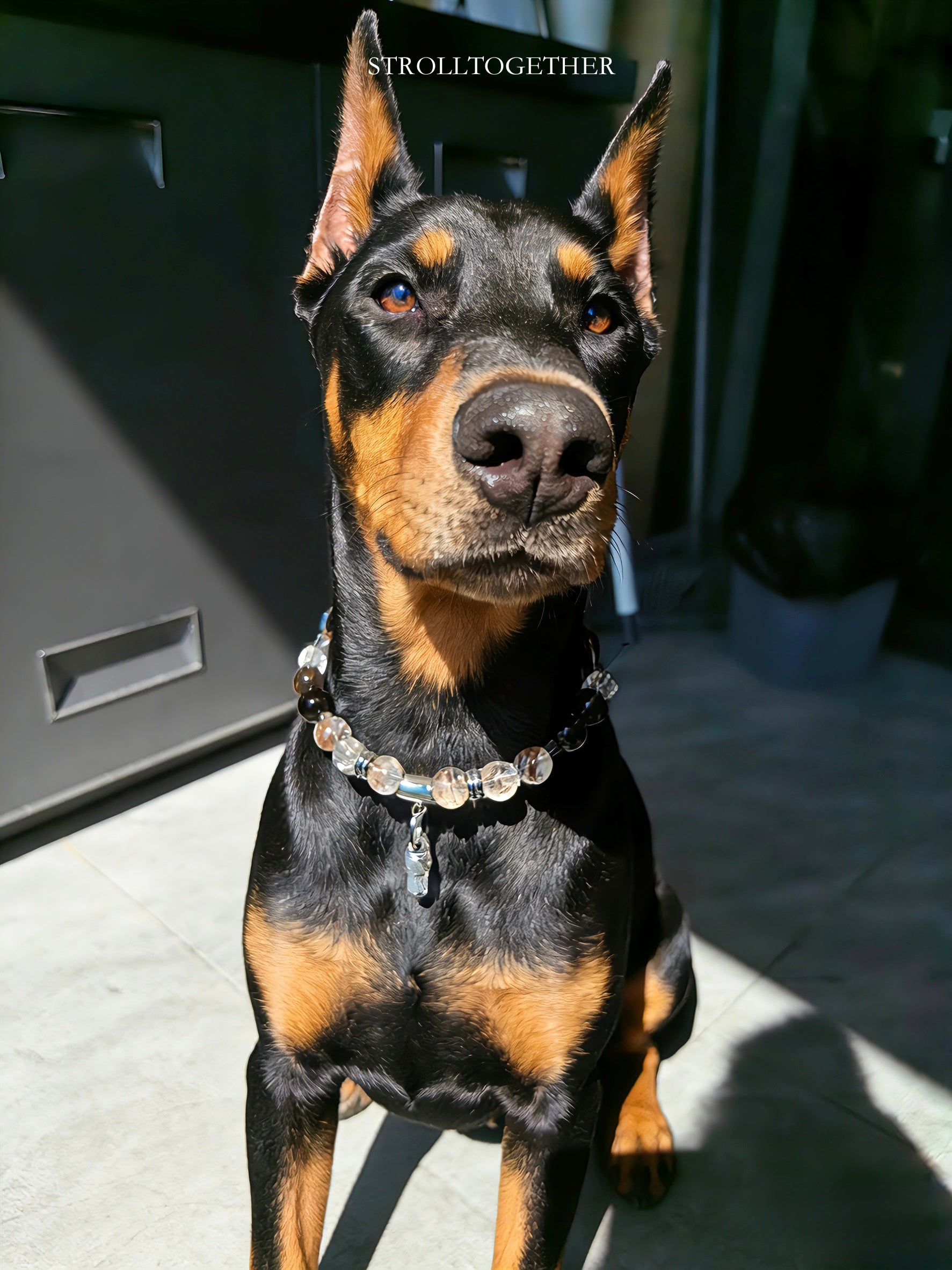 Ebony Grove Crystal Collar | Black Rutilated + Clear Quartz + Smoky Quartz Pet Collar「Neck Size：34-40cm」