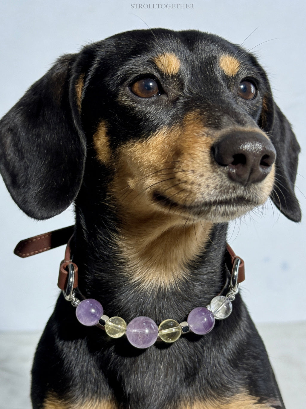 Tranquil Glow" Crystal Collar | Amethyst & Citrine Full-Grain Leather Collar「28～33.5cm」