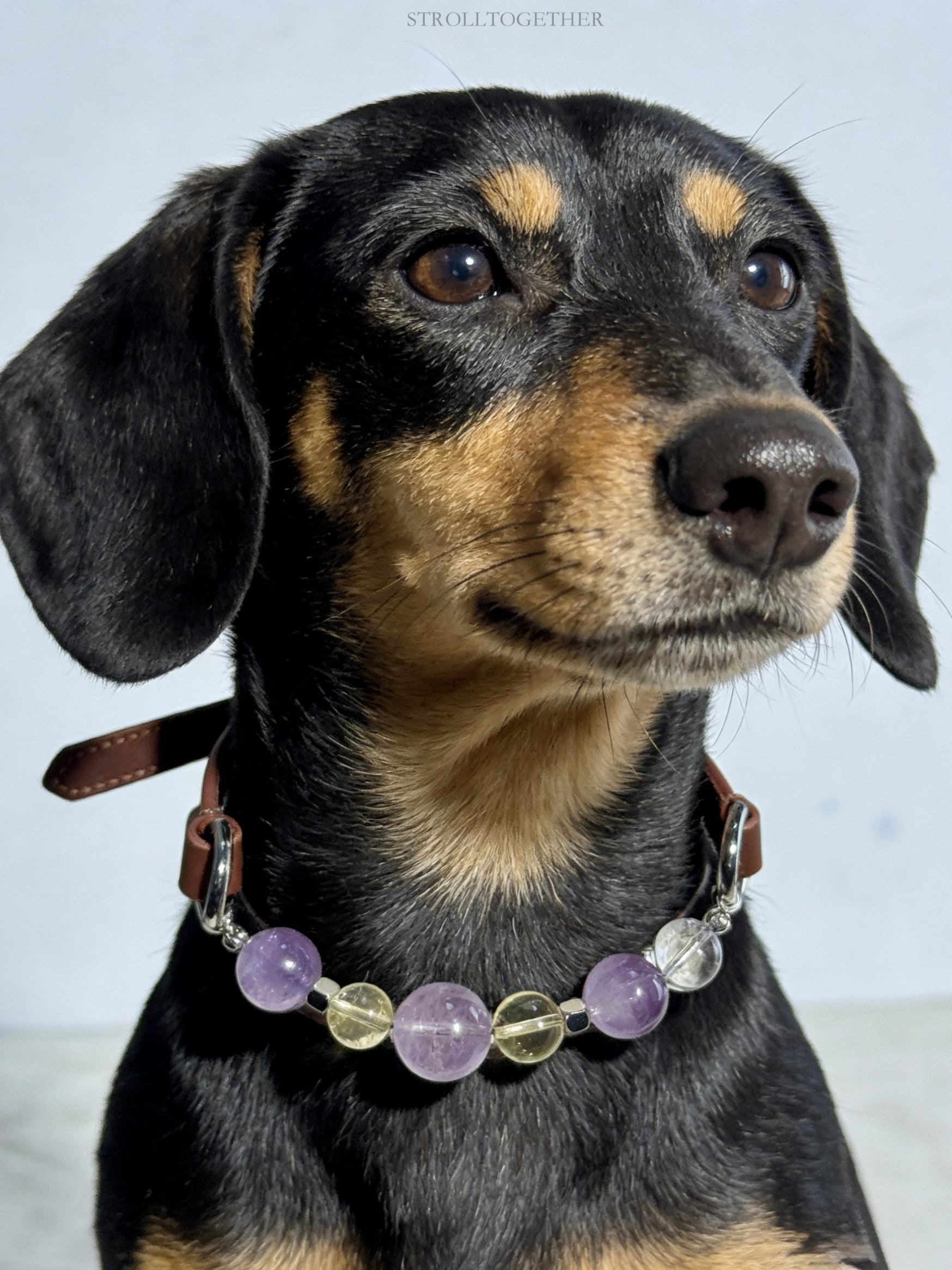Tranquil Glow" Crystal Collar | Amethyst & Citrine Full-Grain Leather Collar「28～33.5cm」