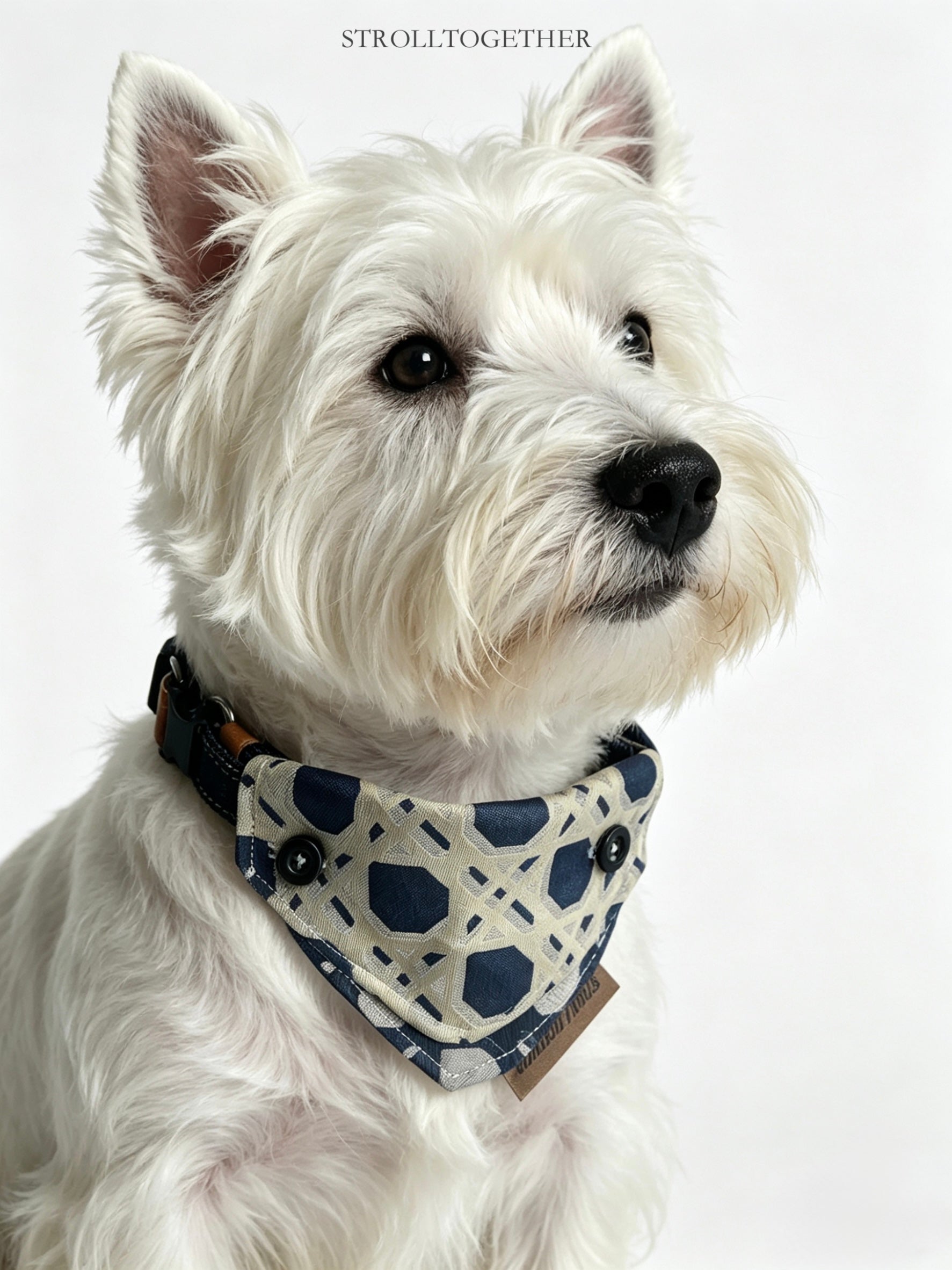 Dickies| Detachable Bandana Collar – One Scarf, Four Ways to Style