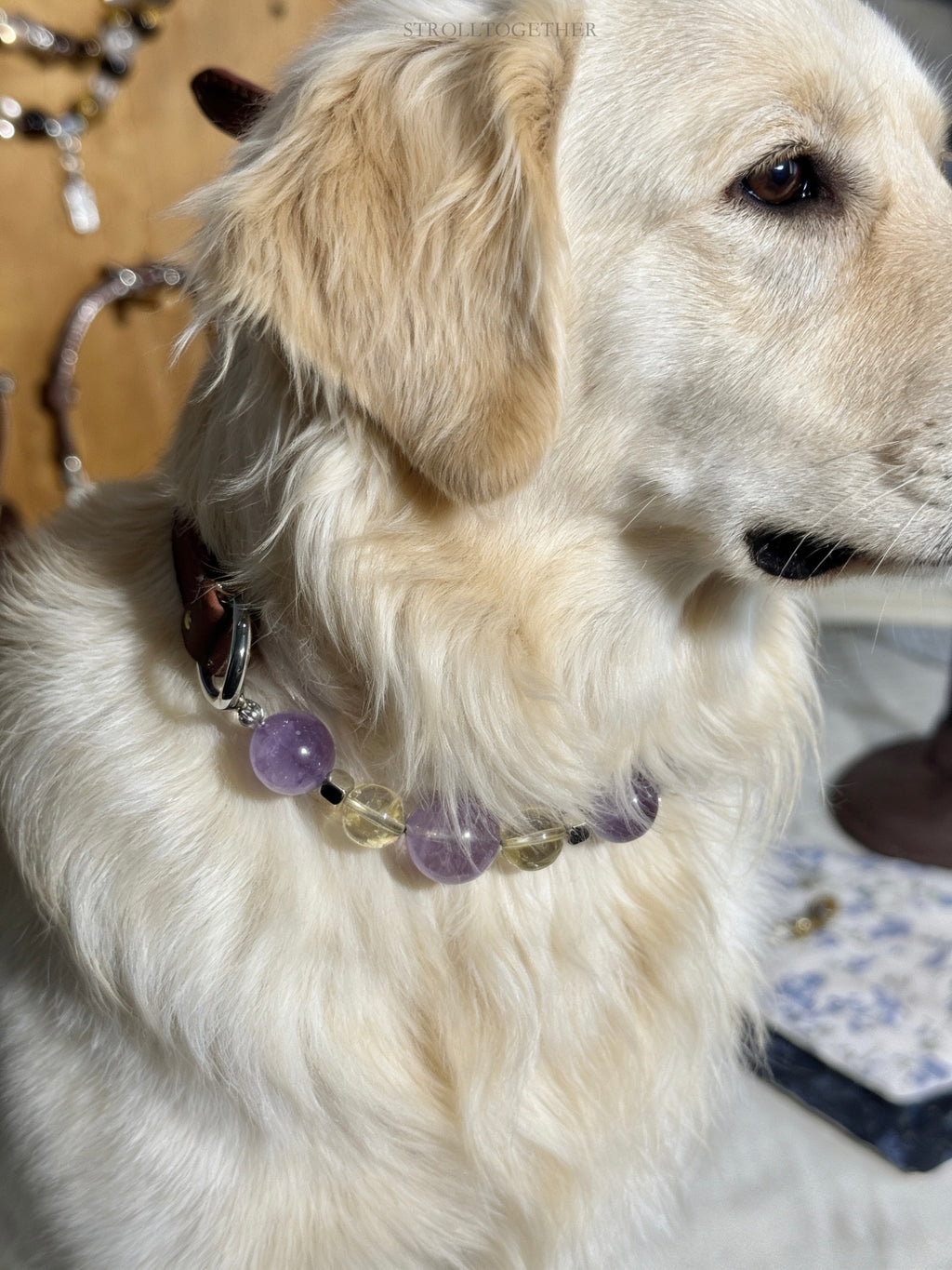 Tranquil Glow" Crystal Collar | Amethyst & Citrine Full-Grain Leather Collar「28～33.5cm」