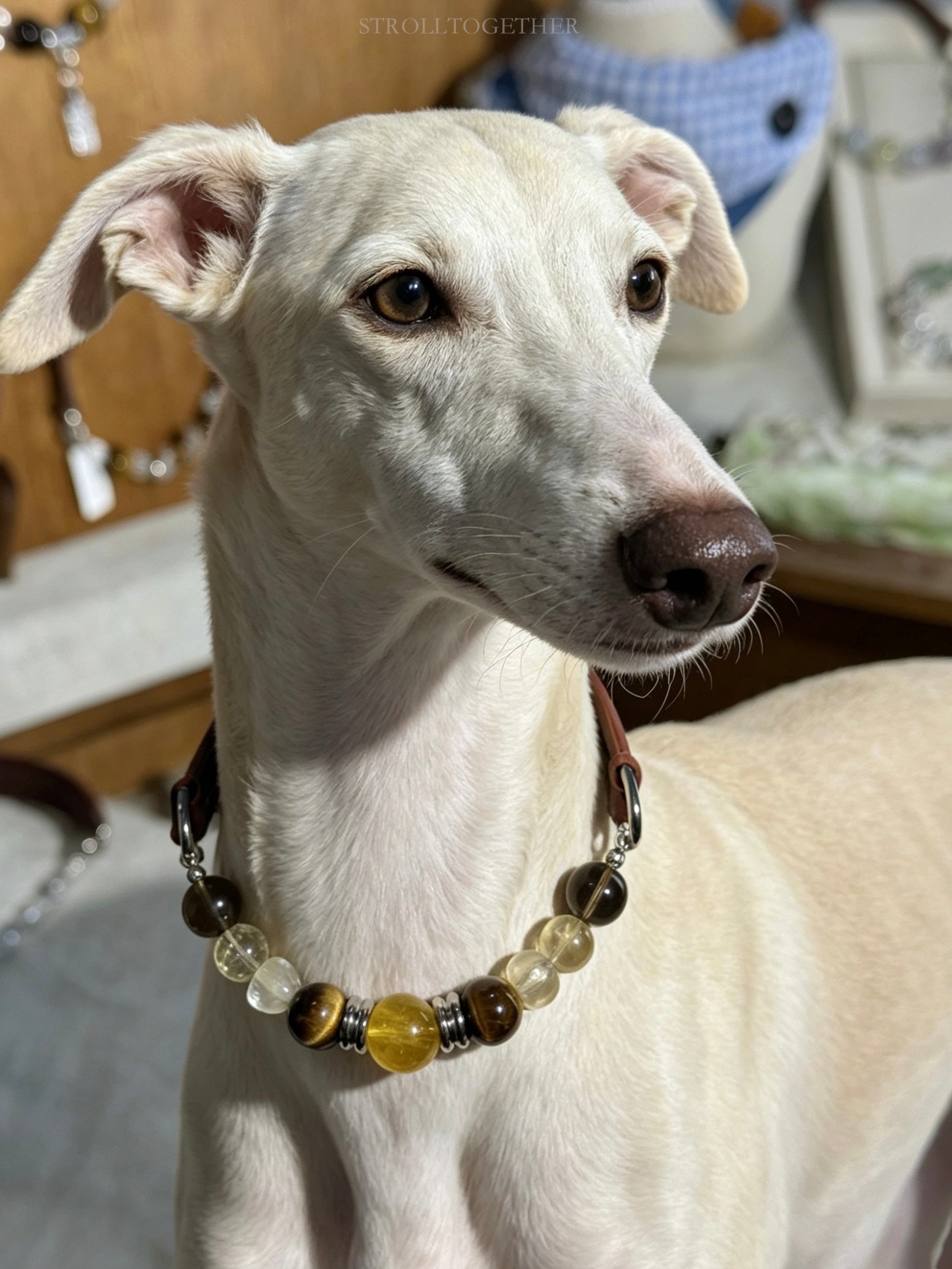 Golden Courage | Natural Yellow Fluorite, Tiger's Eye, Citrine & Clear Quartz「30-35.5cm」