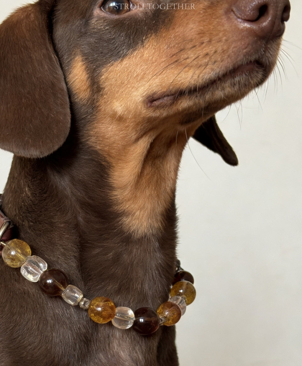 Golden Aura | Citrine, Yellow Tower Crystal, Smoky Quartz & Clear Quartz「32-37.5cm」