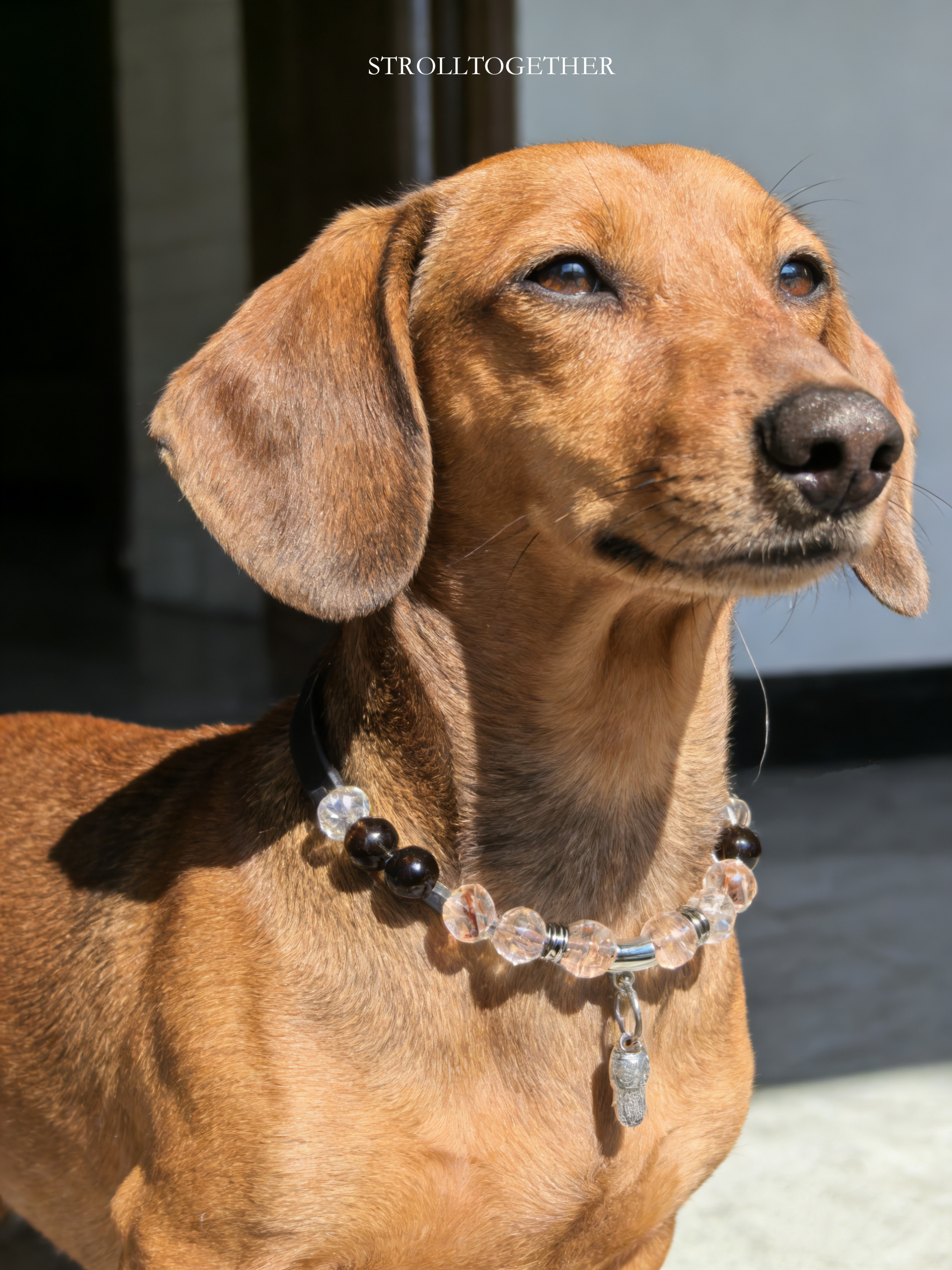 Ebony Grove Crystal Collar | Black Rutilated + Clear Quartz + Smoky Quartz Pet Collar「Neck Size：34-40cm」