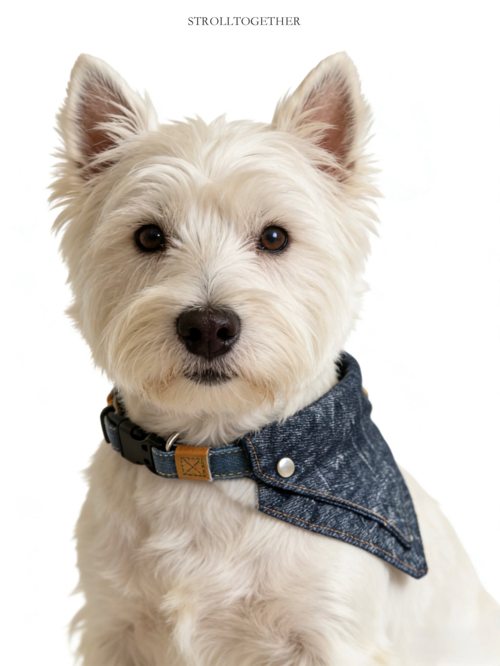 Vintage Denim｜Detachable Bandana Dog Collar