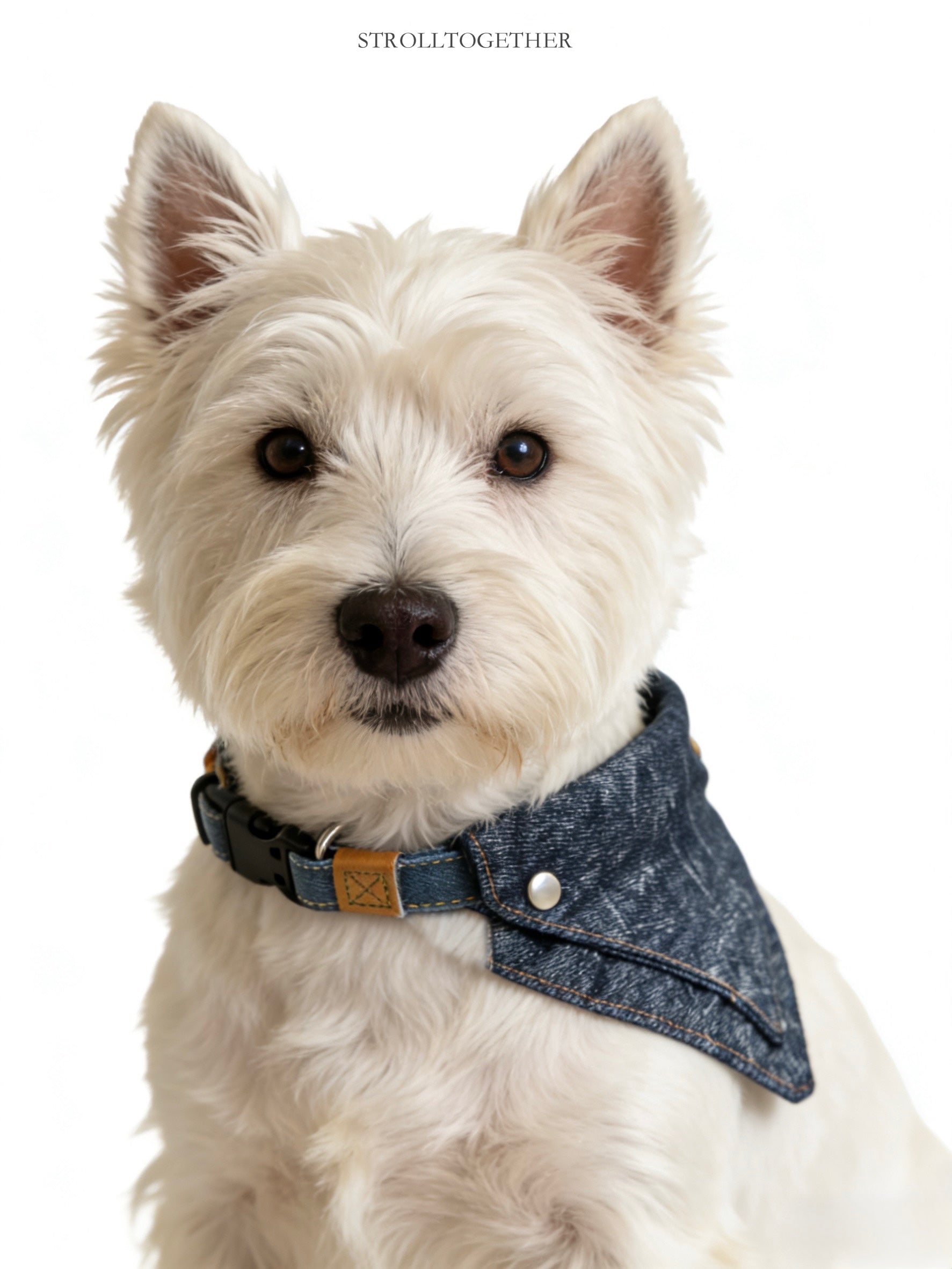 Vintage Denim｜Detachable Bandana Dog Collar