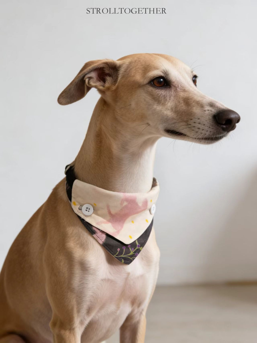 「Little Pink Pony」 Reversible Bandana Dog Collar