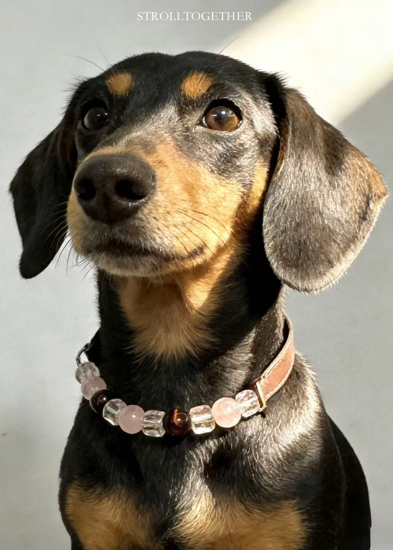 Love Bond|  Matching Crystal Collar for Pets & Owners Rose Quartz, Red Tiger's Eye & Clear Quartz「32.5～38.5cm」「28.5～34.5cm」