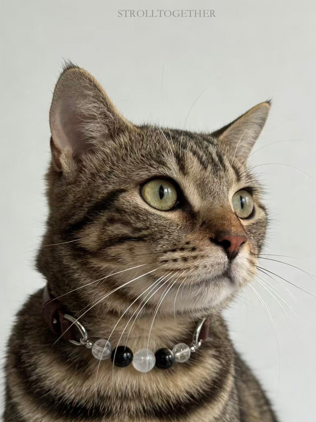 StrollTogether | "Stardust" Natural Crystal Collar – Custom Lucky Charm for Your Furry Friend 「24-29cm」