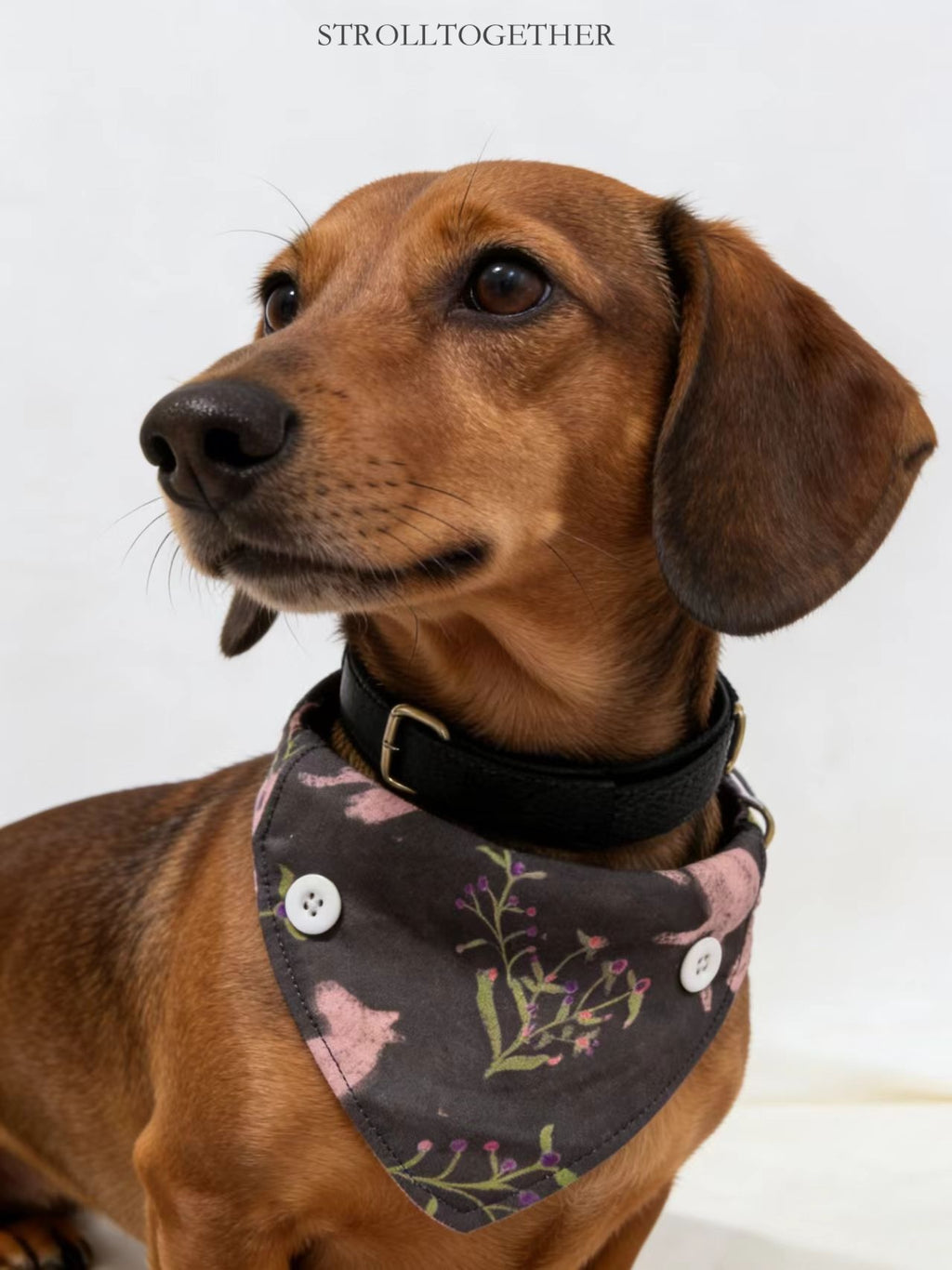 「Little Pink Pony」 Reversible Bandana Dog Collar