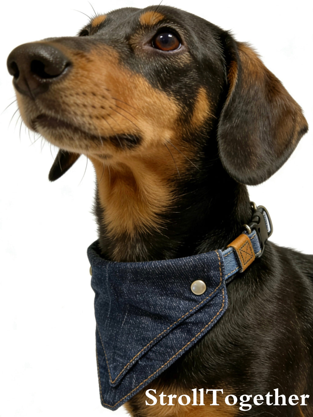 Vintage Denim｜Detachable Bandana Dog Collar