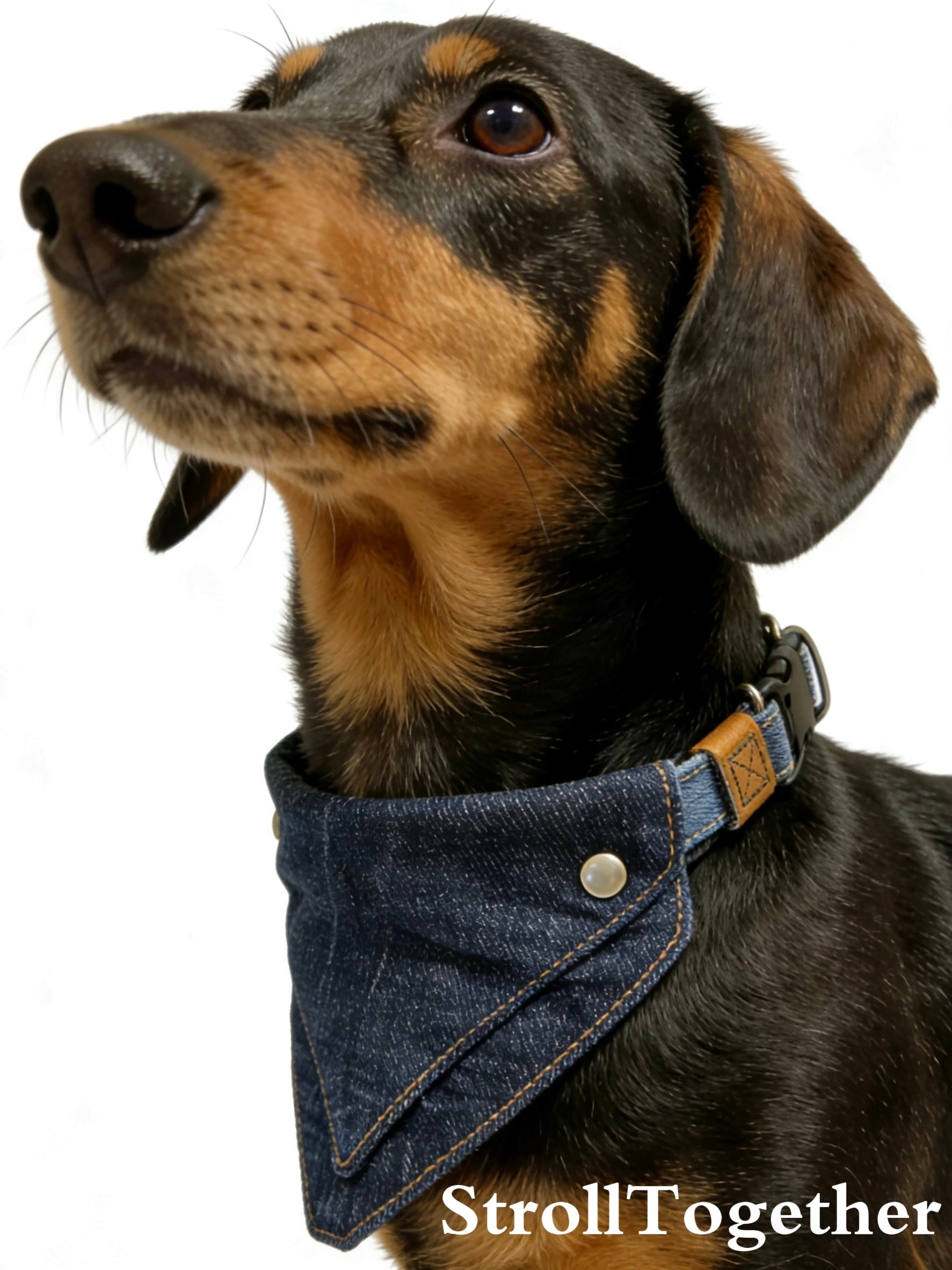 Vintage Denim｜Detachable Bandana Dog Collar