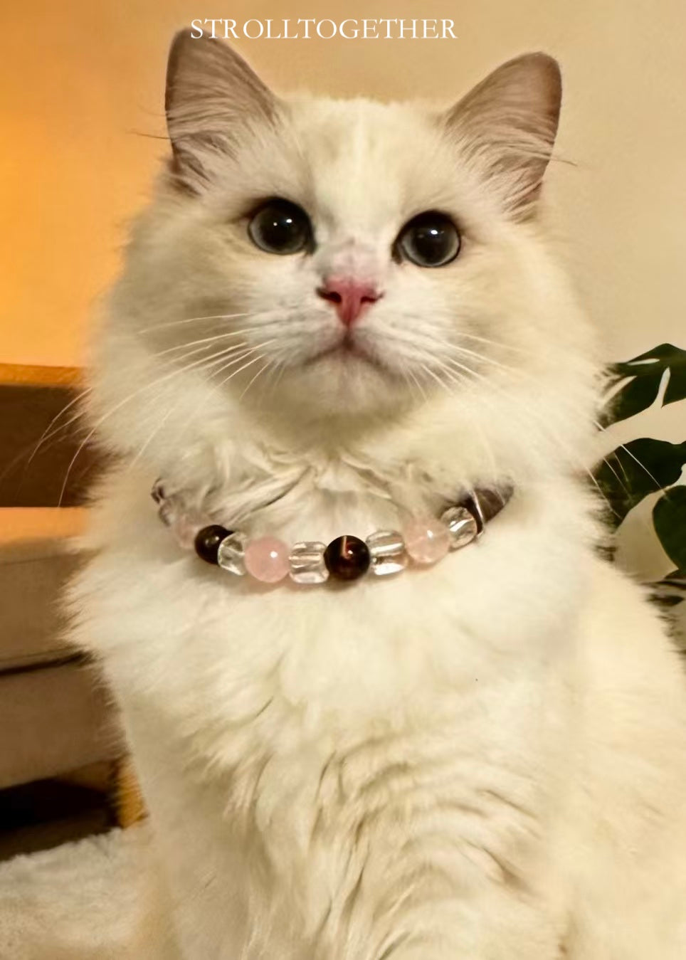 Love Bond|  Matching Crystal Collar for Pets & Owners Rose Quartz, Red Tiger's Eye & Clear Quartz「32.5～38.5cm」「28.5～34.5cm」